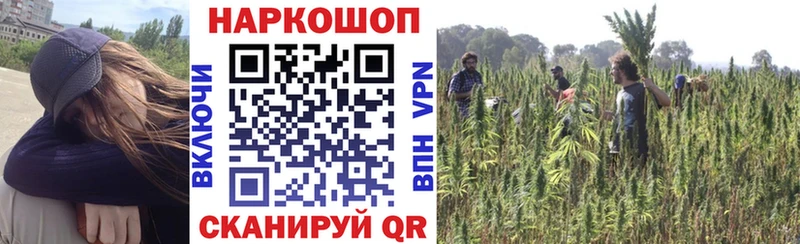 Как найти наркотики Михайлов A-PVP Меф Псилоцибиновые грибы ЭКСТАЗИ Кокаин ГАШ Каннабис