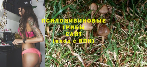крисы Саяногорск