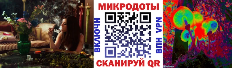 Галлюциногенные грибы ЛСД  где найти   Михайлов 